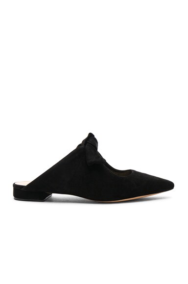 Suede Evelyn Flats
