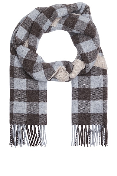 Acne Studios Veda Scarf in Brown & Beige