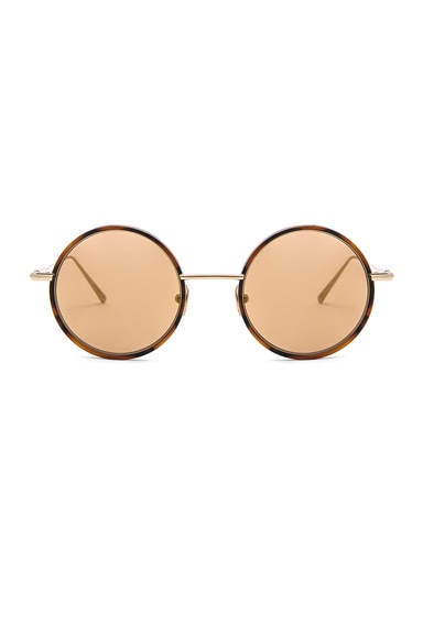 Scientist Sunglasses