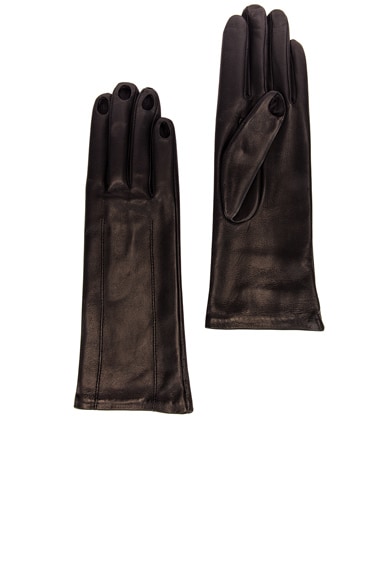 Aimee Leather Gloves