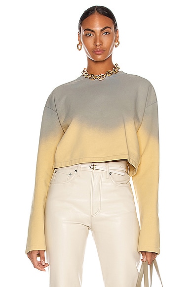 Acne Studios OMBRE CROPPED SWEATER