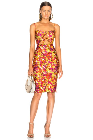 Fruits Print Short Dress