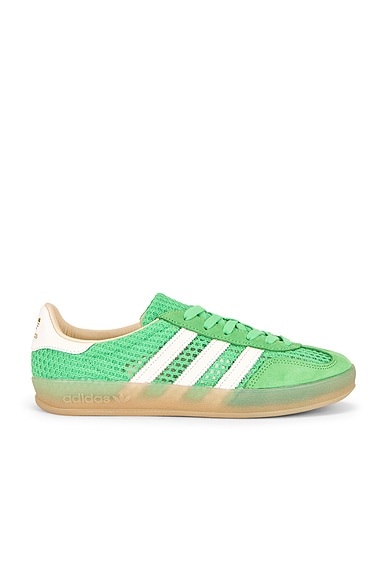 Gazelle Indoor