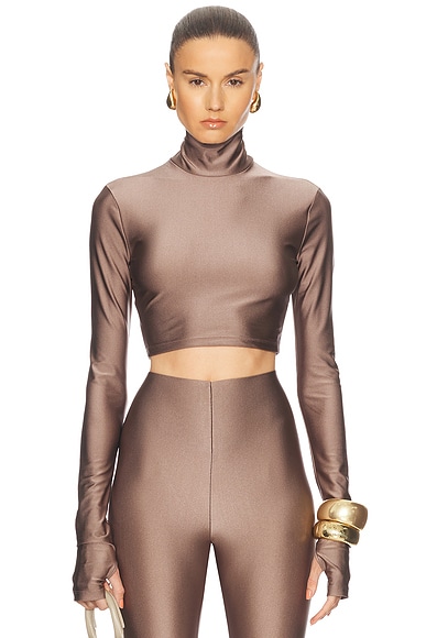 The Andamane Orchid Turtleneck Crop Top in Greige