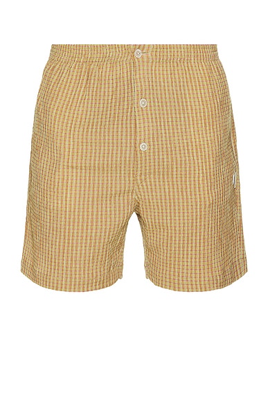 Tokyo Summer Shorts