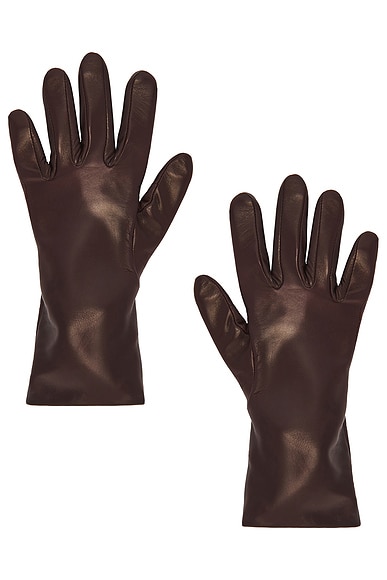 Christina Gloves