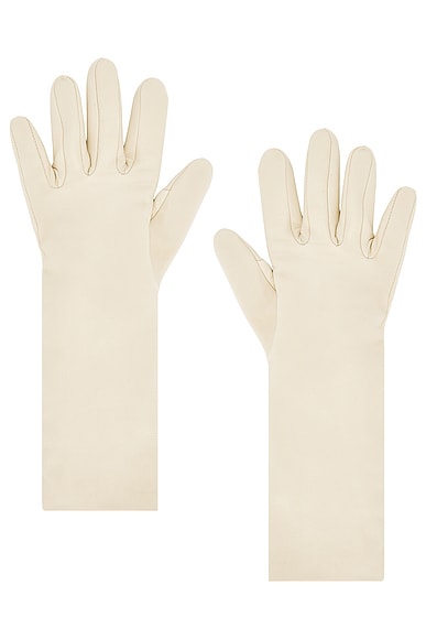 Celia Gloves