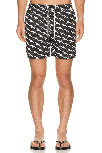 Birds x Clara Arn?s Classic Swim Shorts in Black