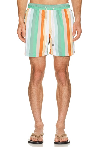 Classic Swim Shorts