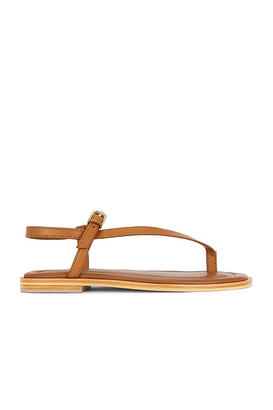 Shop A.emery Pae Sandal In Deep Tan