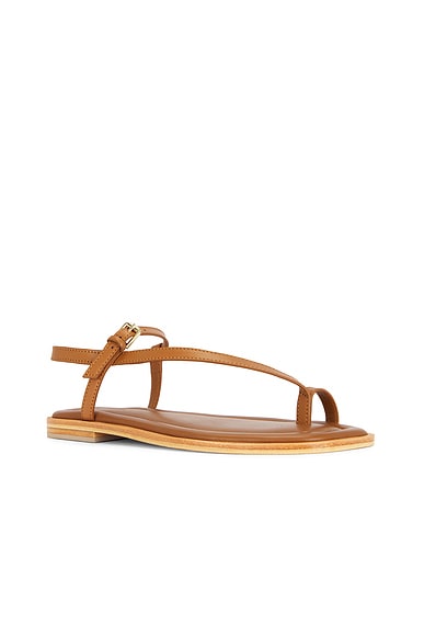 Shop A.emery Pae Sandal In Deep Tan