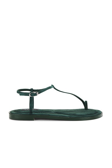 Suvi Sandal