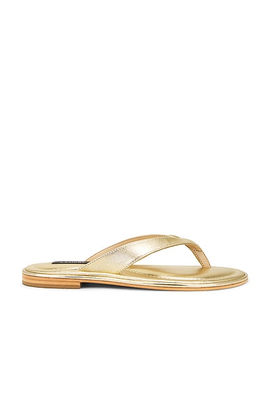 A.EMERY Morgan Sandal in Gold