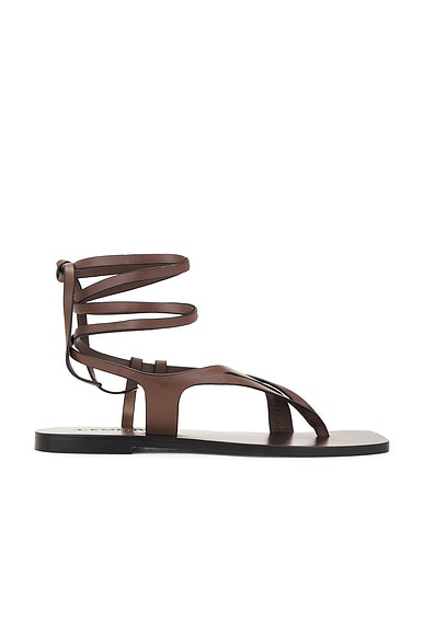 Rita Sandal