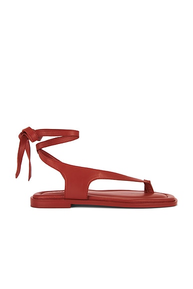 A.EMERY Heidi Sandal in Cherry