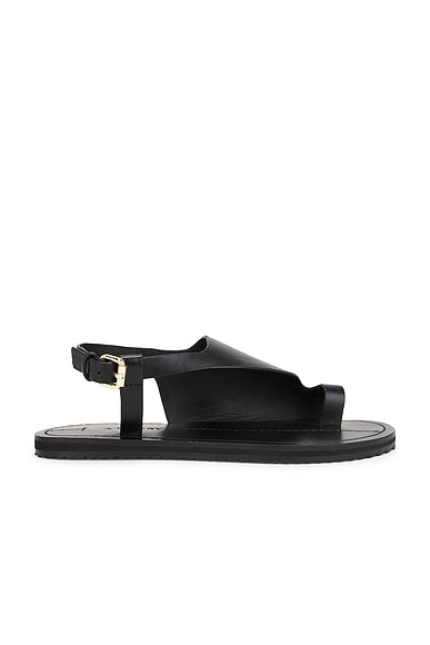 Milne Sandal
