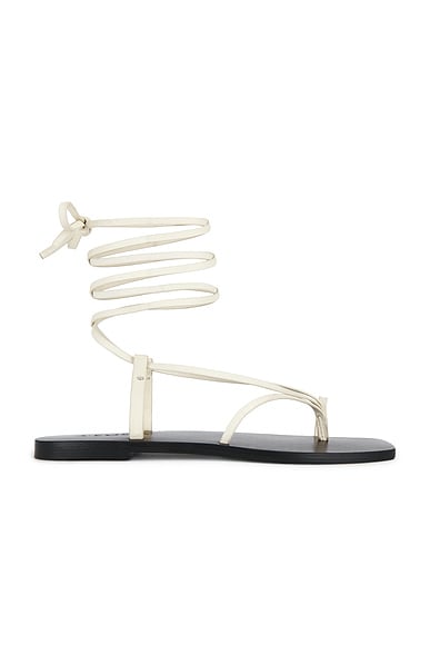 Nolan Sandal
