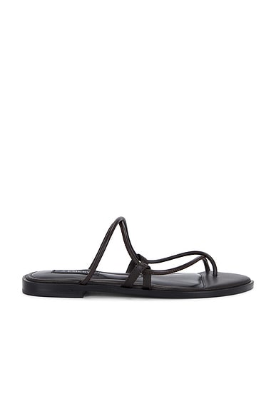 Silas Sandal