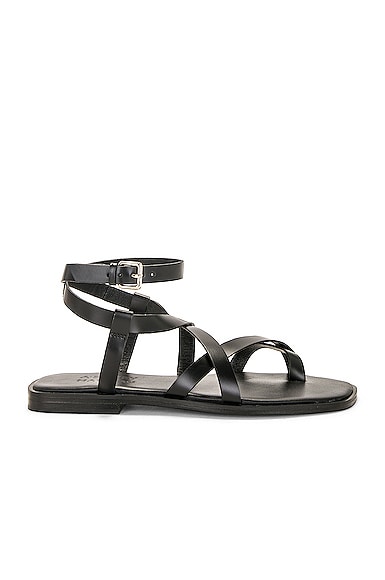 A.emery Evia Leather Sandals In Black