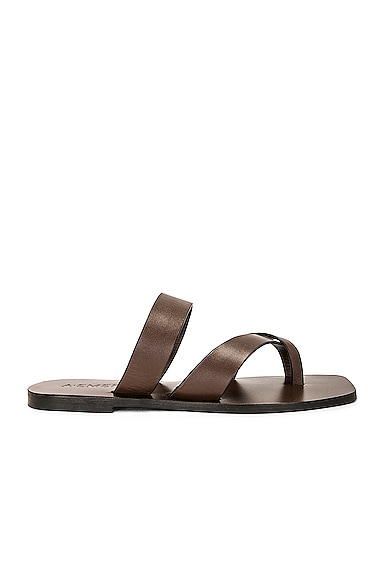 A.EMERY Carter Sandal in Brown