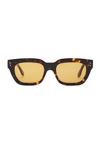 Ameos Rae Sunglasses in Tortoise