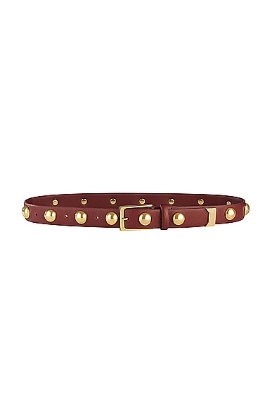 Studded Belt