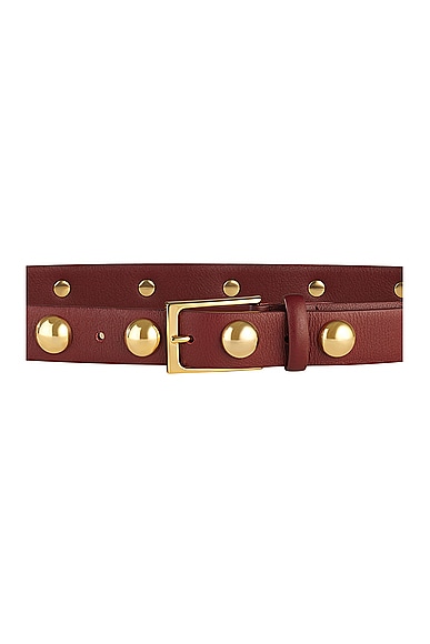 Shop Aureum Studded Belt In Red & Gold