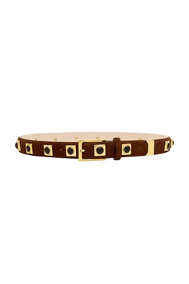 No. 2 Studded Belt