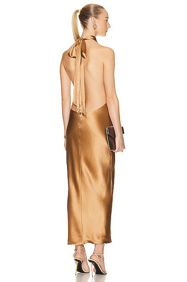 AEXAE Silk Maxi Dress in Brown