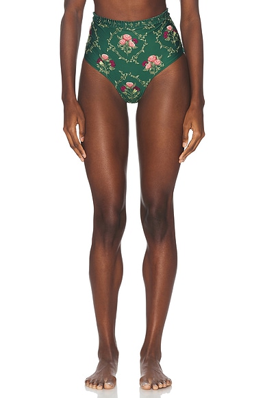 Nopal Bikini Bottom in Multicolor