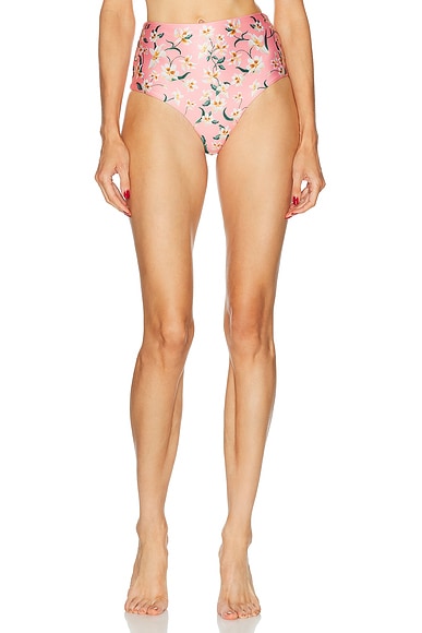 Magenta Bikini Bottom