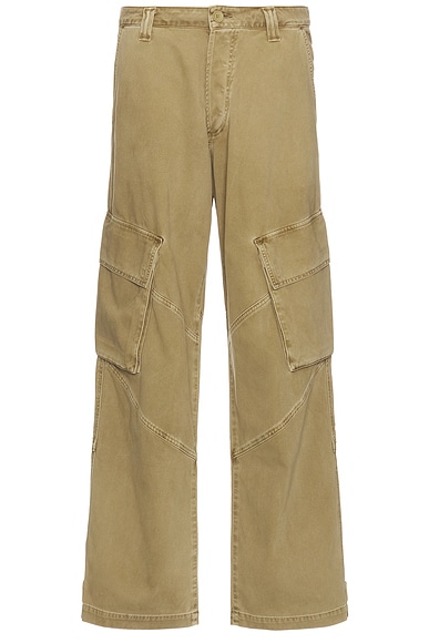 AGOLDE Wilson Cargo Pant in Refresher