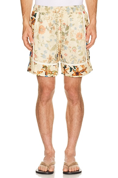 Georgie Shorts