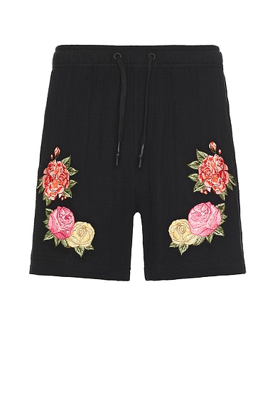 Cece Shorts