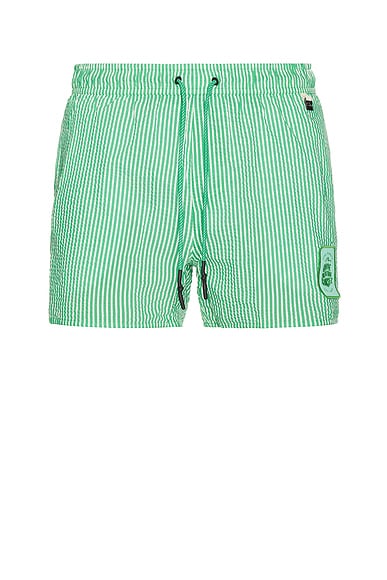 Cassius Swim Trunks