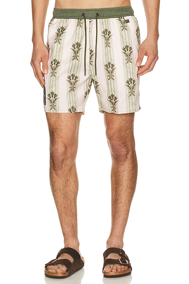 Joe Swim Trunks