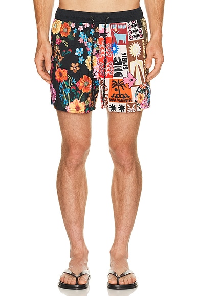 Cassius Trunks