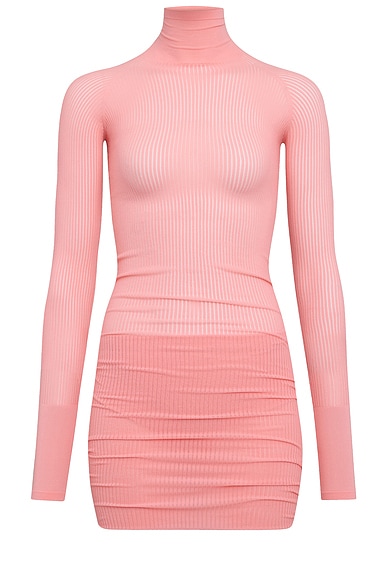 Long Sleeve Mini Dress in Fard