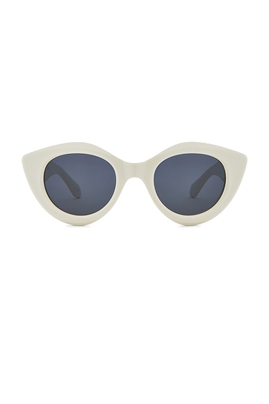 Round Sunglasses