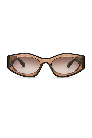 Oval Sunglasses