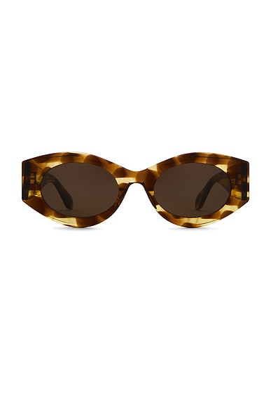 Oval Sunglasses