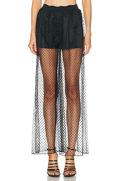 Wide Leg Pant