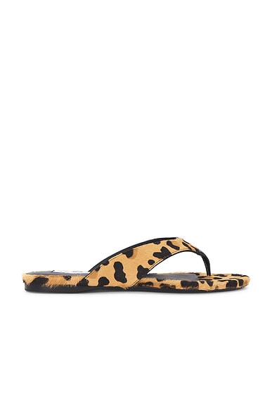 Flat Sandal