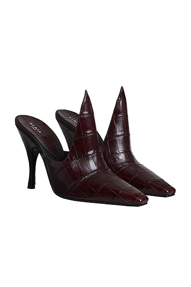 Court Mule