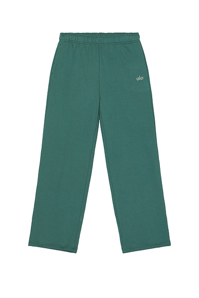 alo Accolade Straight Leg Sweatpant in Winter Ivy