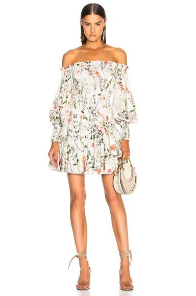 Alexis Gemina Dress in Botanical Cream FWRD