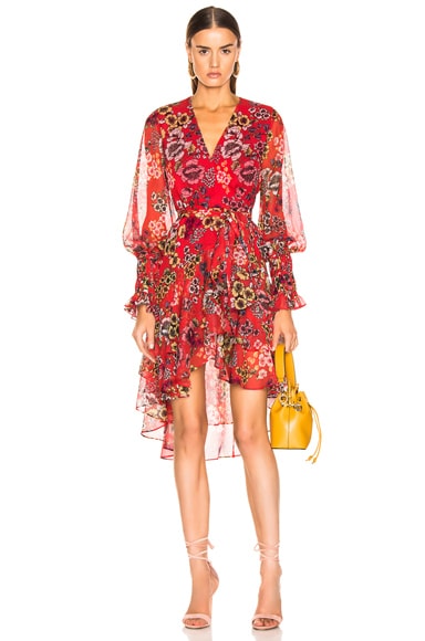 Alexis Sidony Dress in Eden Floral Red | FWRD