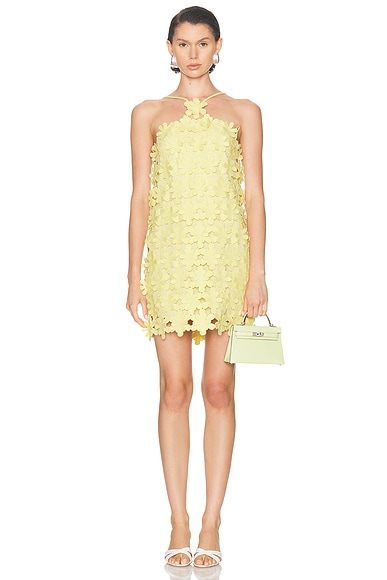 Lily Dress