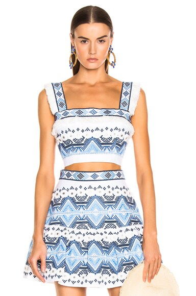 Alexis Liddy Top in Rich Embroidery Blue | FWRD