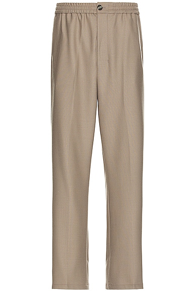 Elasticated Trousers in Taupe